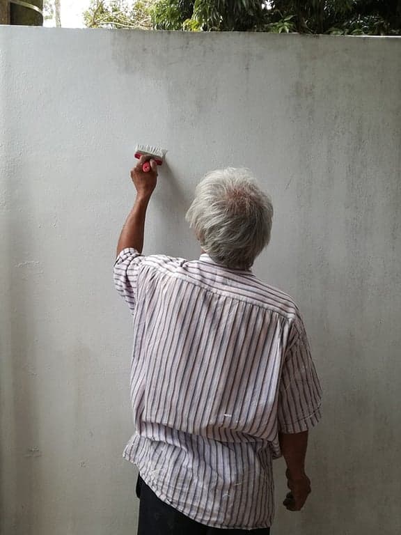 Analysis of muscle activity in house painters with or without visual Scapular Dyskinesia