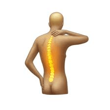 The evidence of Discogenic Low Back Pain from Degenerative Intervertebral  Disc during forward flexion of the trunk